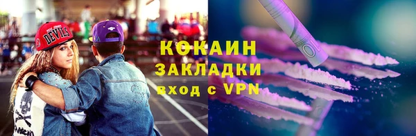 шишки Заволжье
