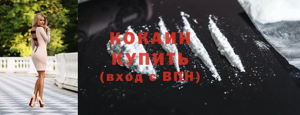 шишки Заволжье
