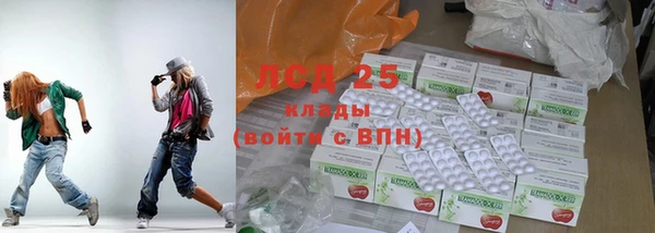 шишки Заволжье