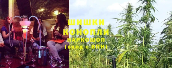 2c-b Заводоуковск