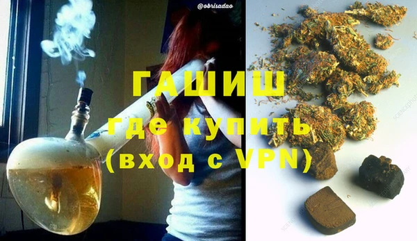 шишки Заволжье
