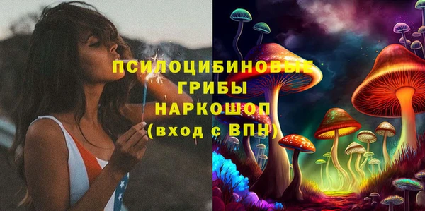 шишки Заволжье