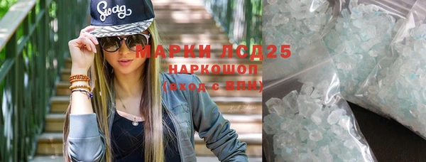 шишки Заволжье