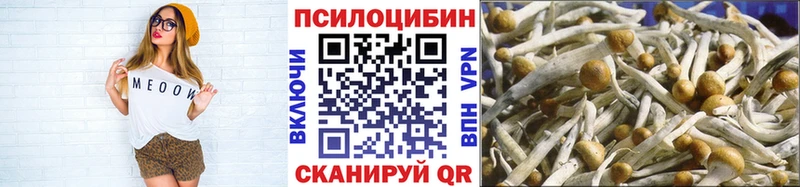 Купить закладки  Тетюши  Псилоцибиновые грибы Cubensis 